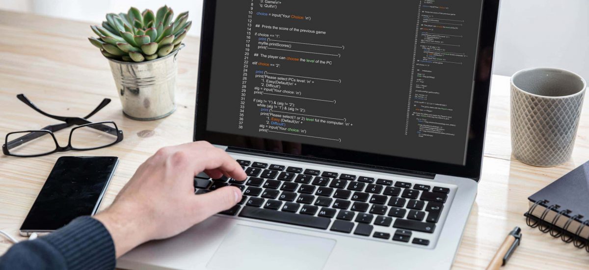 Effizienter arbeiten mit der WP CLI Kommandozeile für WordPress